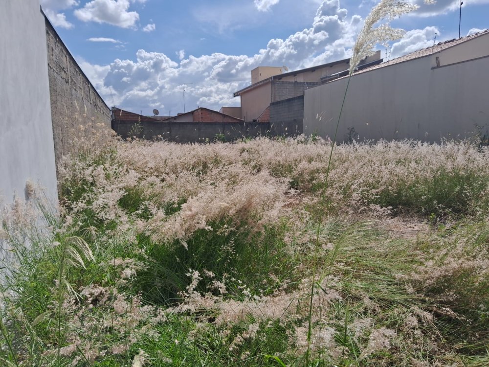 Terreno - Venda - Jardim Treviso - Pirassununga - SP